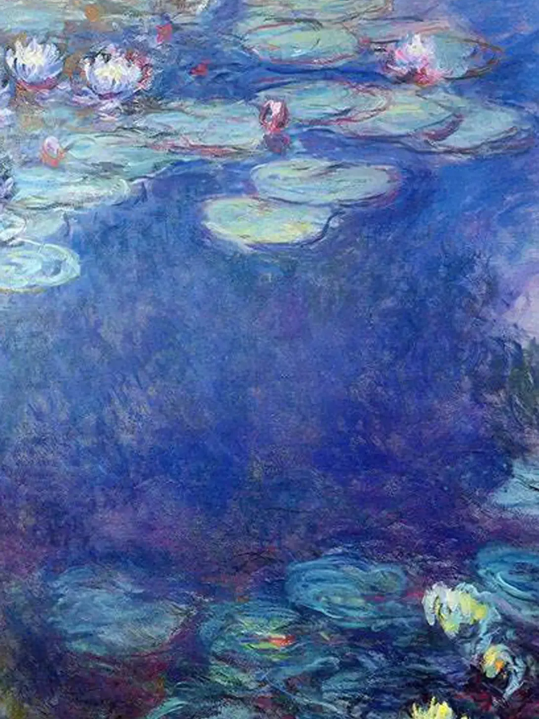 Water Lilies by Monet printed Art Tights
